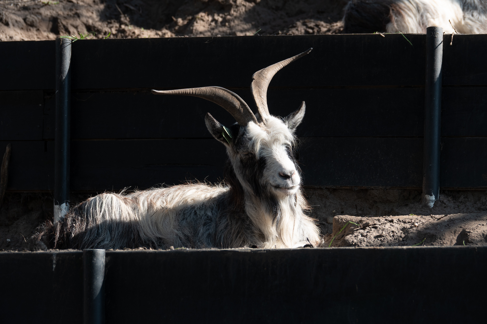20260321   Fototrip Maart   Naarden vesting   050